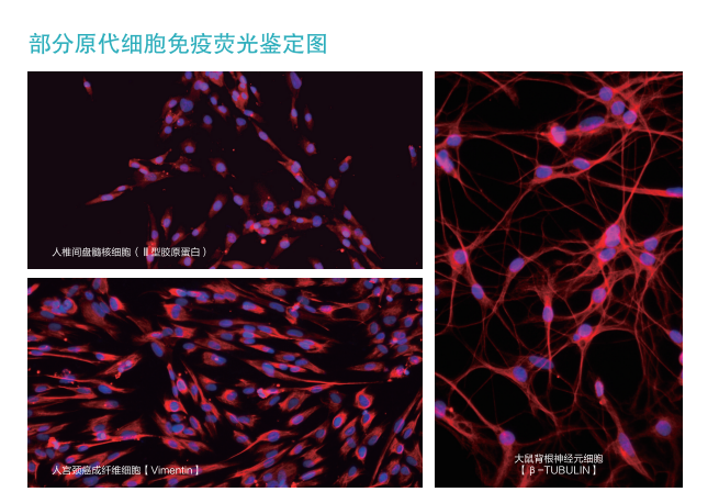 TIM截图20190722154012.png