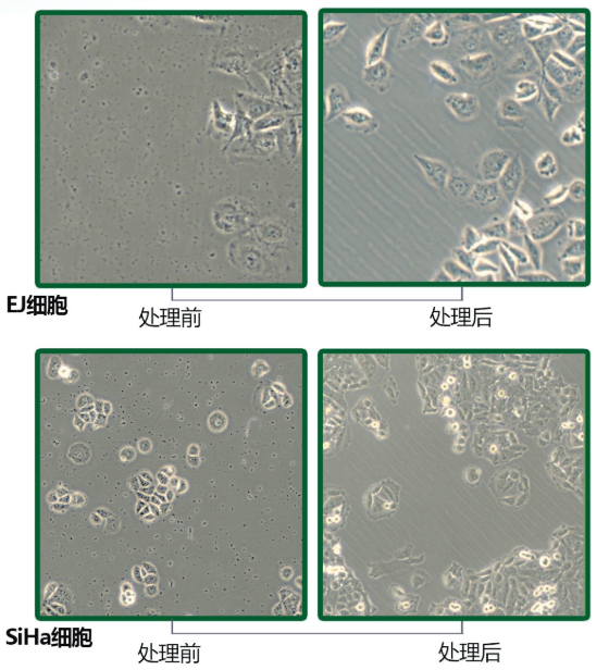 TIM截图20191213151321.png