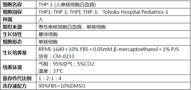 THP-1细胞基本信息