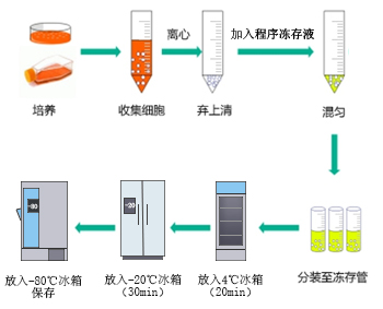 手动梯度降温操作示意图