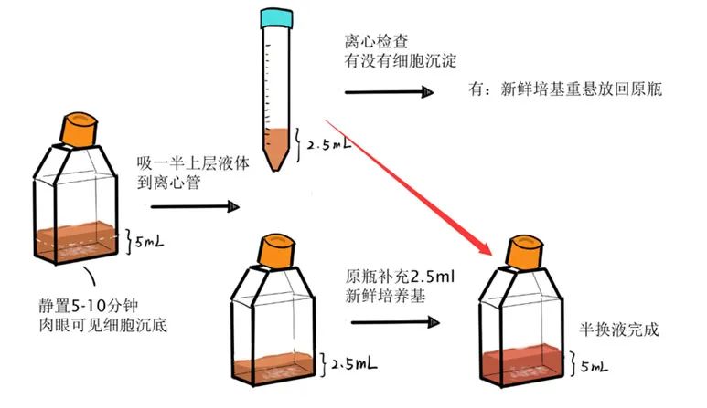 半换液法