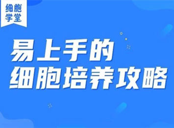 实验指南栏目相关图片