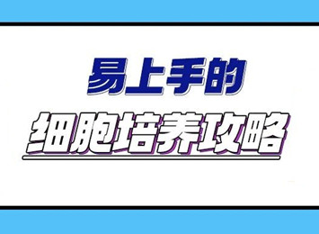 实验指南栏目相关图片