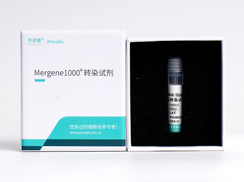 Mergene1000® Vero细胞专用DNA转染试剂