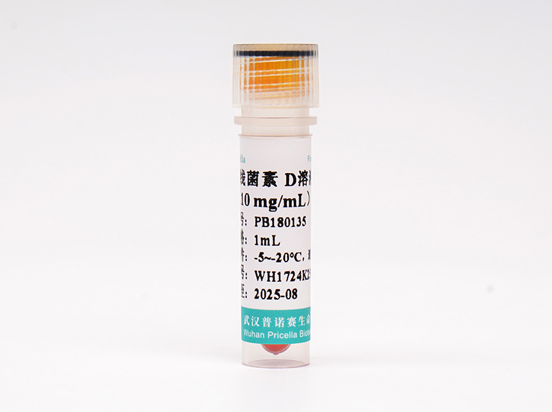 放线菌素 D溶液（10 mg/mL）