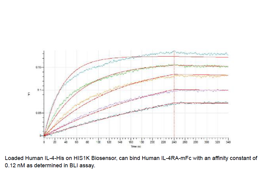 Procell-IL-4Rα/ CD124 (C-mFc), Human, Recombinant